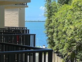 A balcony with a view of a calm body of water and a dense green tree.