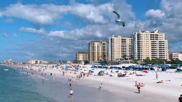 Una playa con mucha gente, una gaviota volando y varios edificios altos al fondo.
