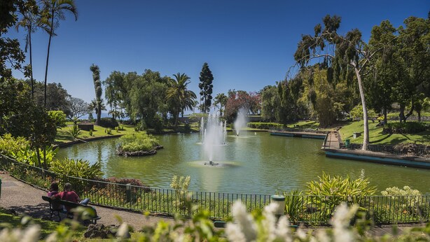 A park with a pond, fountains, and a bench.