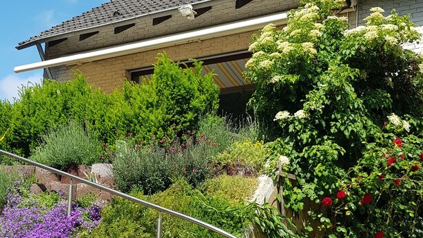 A building with a sloped roof, surrounded by a variety of plants and flowers. - Schöne 120 qm Ferienwohnung + 50 qm Sonnenterrasse im Grünen-stockelsdorf/lübeck (Stockelsdorf)