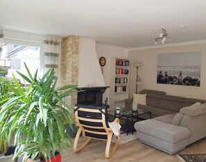 Smart TV, chimenea y libros 