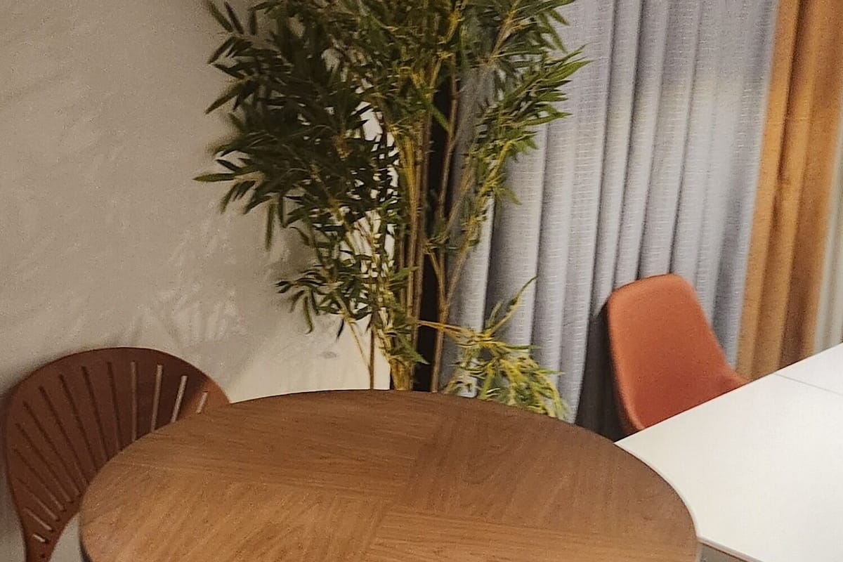 Un comedor con una mesa redonda de madera, dos sillas naranjas y una planta en maceta.