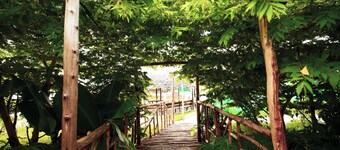 Nature Adventure Camp, Kanakapura #4