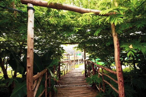 Nature Adventure Camp, Kanakapura #5