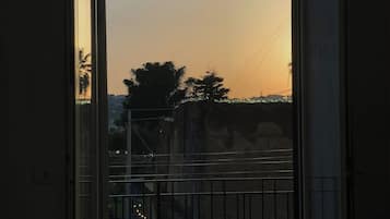 Vista desde la propiedad