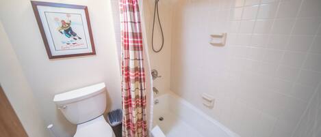 A bathroom with a toilet, a shower, and a framed picture on the wall.