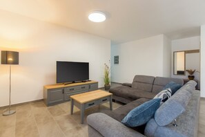 Smart TV - Villa Xenia CO2 neutral, A+ energy efficient (Labin)