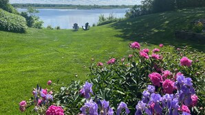 Un espacio verde con sillas frente a un lago, rodeado de árboles y flores.