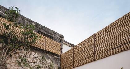 Itinerante Casa del Mago- en el Centro Histórico de Mérida