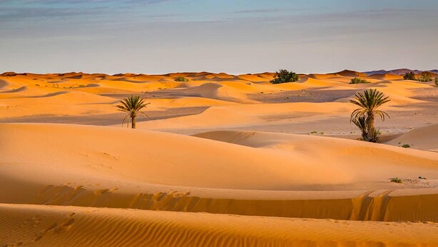 Cabin | Miscellaneous - Merzouga Luxury Camp (Taouz)