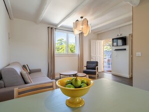 TV, ping pong - Beautiful Tiny mazet in Provence (La Roque-sur-Pernes)