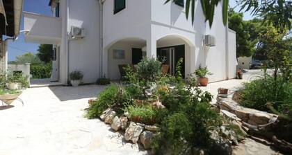 Villa Lapis Vis - Treat yourself with the vacation you deserve!