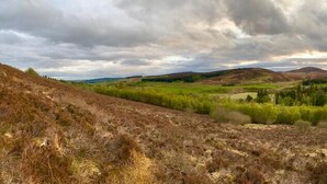 Vista panorámica de un paisaje montañoso con un valle y zonas boscosas.
