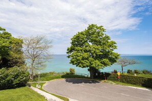 Une route sinueuse offrant une vue sur la mer, bordée d’une végétation luxuriante et d’arbres.