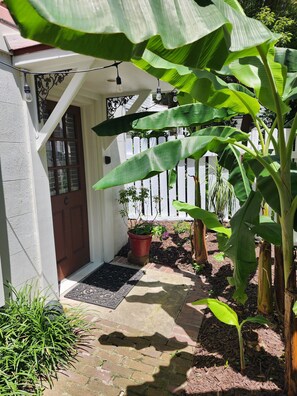 Una entrada de jardín con una planta en maceta, una puerta y una cerca de piquetes blancos.