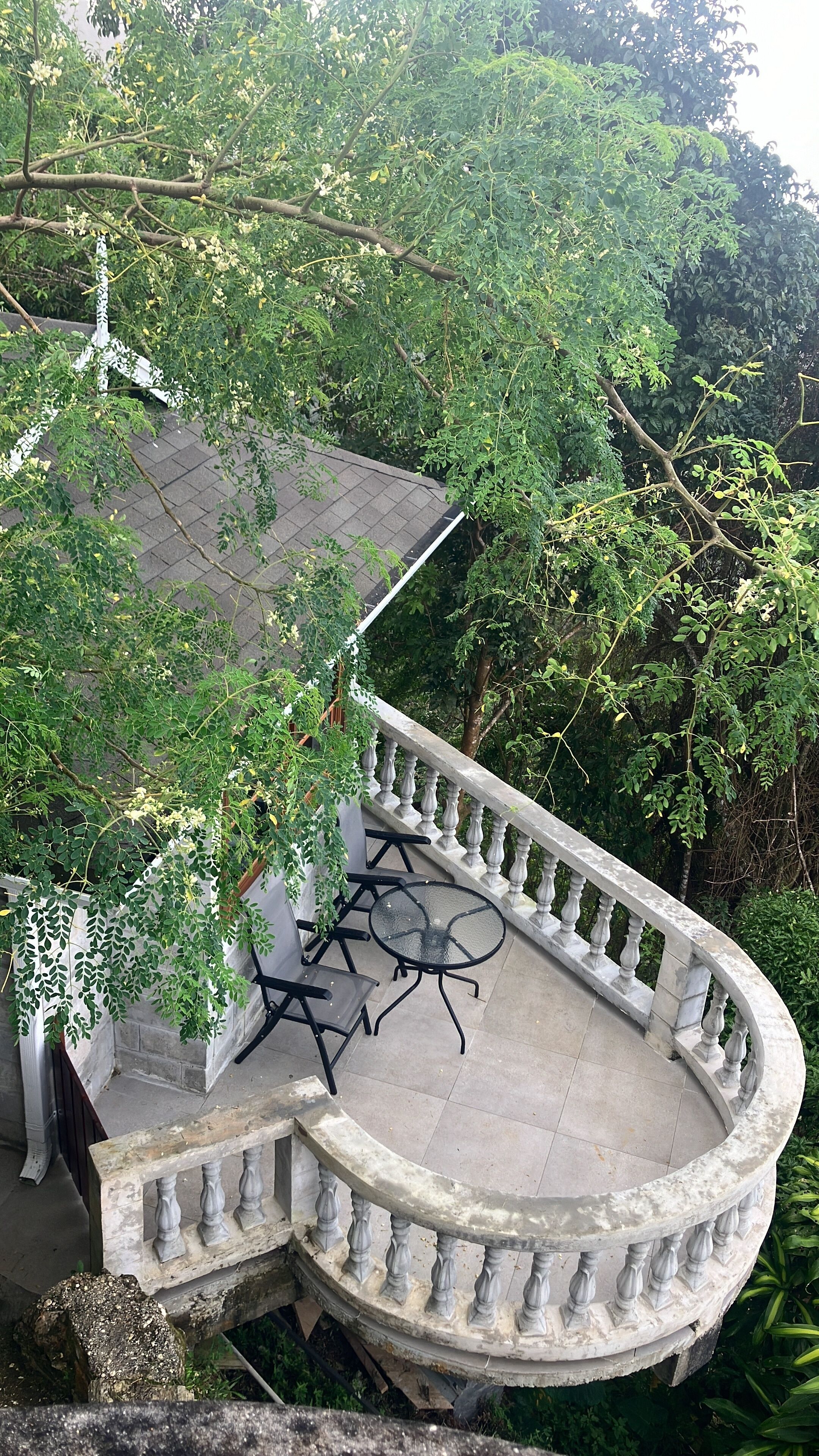 A curved balcony with a glass table and chairs, surrounded by lush greenery and trees.
