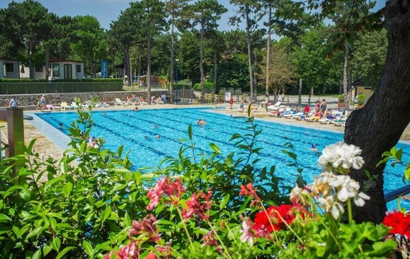 Una piscina con varias pistas, rodeada de sillas de descanso y vegetación.