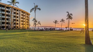 Un hotel con fachada curva, palmeras y vista al mar.