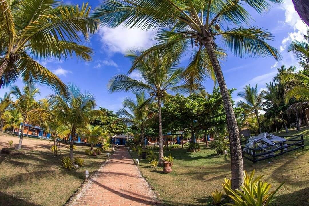 A pathway lined with palm trees leading to a building with a blue roof.