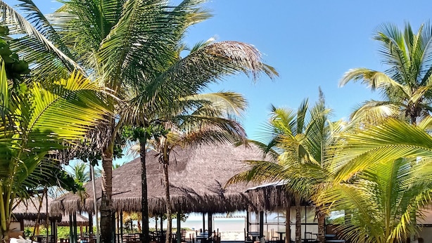 Un sendero que lleva a una zona de playa con edificaciones de techo de paja y palmeras.