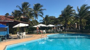 Una piscina con sillas de descanso y sombrillas, rodeada de palmeras.