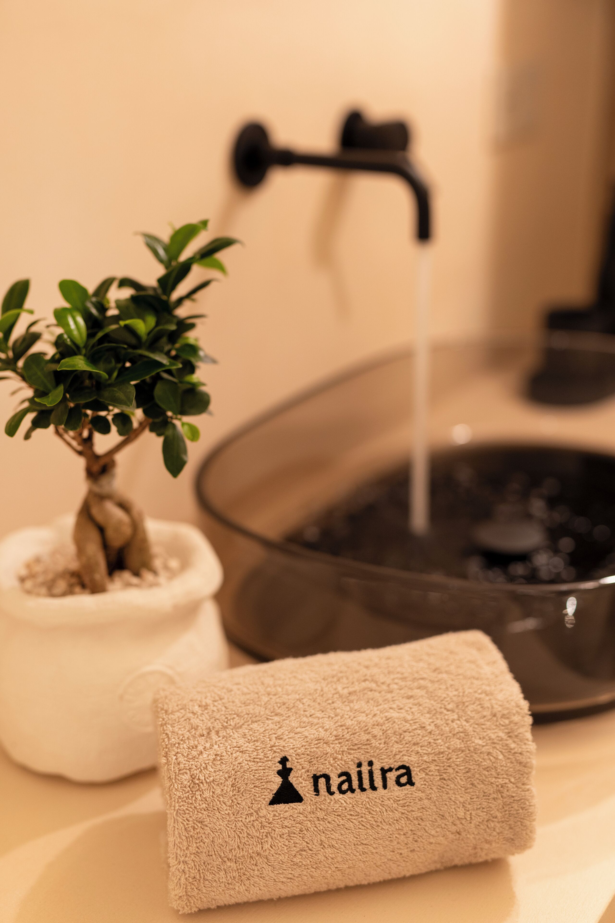 A bathroom with a sink, a potted plant, and a towel with a logo.