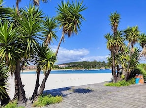 Una pasarela de madera que lleva a una playa con palmeras y un cielo azul despejado.