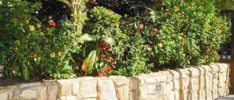 Comfort appartement | Terrein van de accommodatie