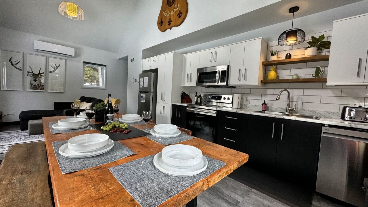 Réfrigérateur, micro-ondes, plaque de cuisson, lave-vaisselle