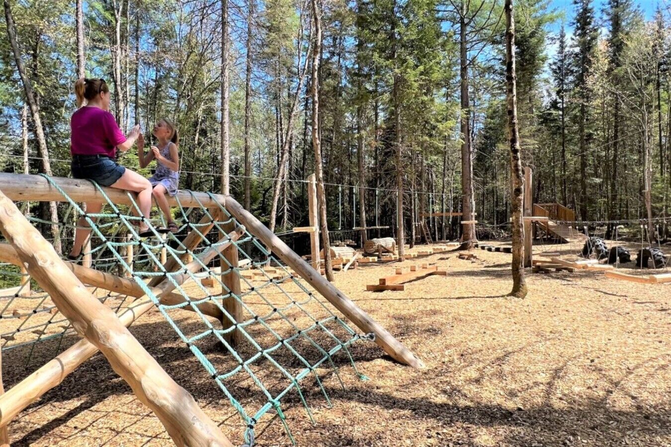 A playground with a rope bridge and wooden structures in a wooded area.