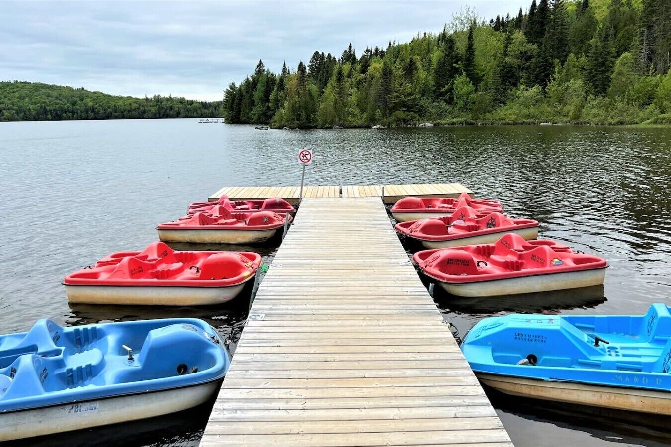 A wooden dock with several red and blue paddle boats lined up.