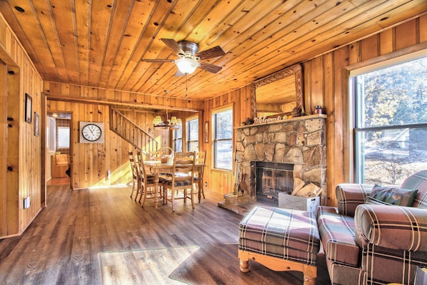 Smart TV, fireplace, books
