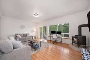 Smart TV, fireplace, books, computer monitors