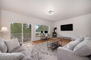 Smart TV, fireplace, books, computer monitors