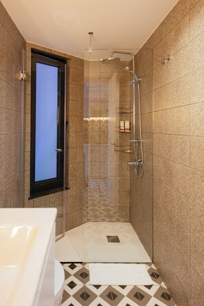 Hair dryer, towels, shampoo, toilet paper
