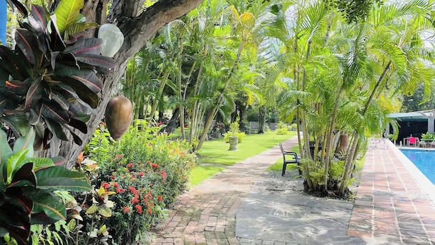A pathway leading to a pool area with a lawn and palm trees. - Arroyos Verdes (Bucerías)