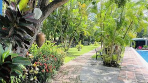 A pathway leading to a pool area with a lawn and palm trees. - Arroyos Verdes (Bucerías)