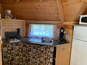 Kühlschrank, Mikrowelle, Herdplatte, Geschirrspüler