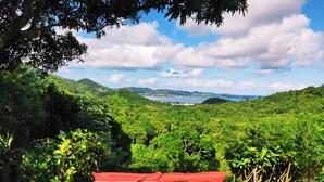 A view of a lush green landscape with a wooden bench and colorful stools in the foreground. - 3 Bedroom Villa in Le Robert (Le Robert)