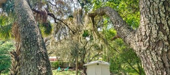 KING BED MASTER ROOM AND ENTIRE HOME WITH TREE HOUSE CLOSE TO DISNEY WORLD
