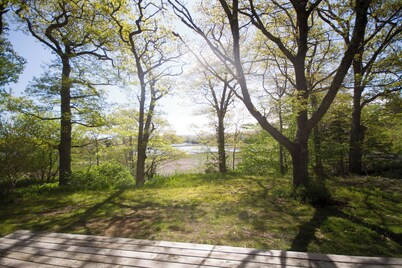 Ocean cottage nestled amongst tall oak trees, pet friendly.