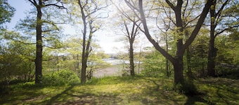 Ocean cottage nestled amongst tall oak trees, pet friendly.