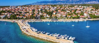 노발자 G의 바비큐 홀리 가든