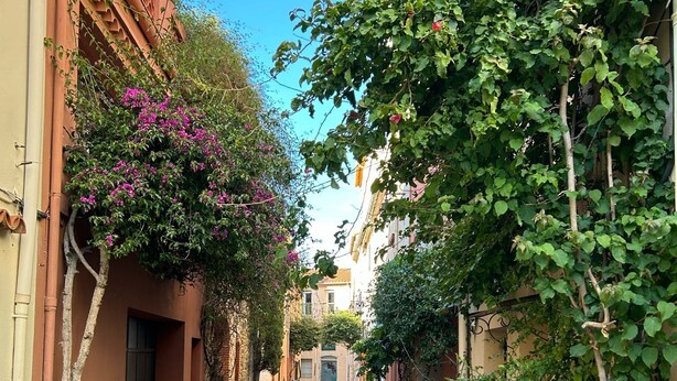 A narrow street flanked by buildings with balconies and potted plants.