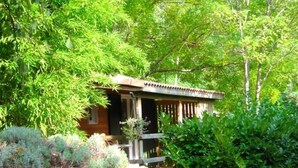 A rustic cabin surrounded by lush greenery and a rocky landscape. - ZEcamping 3 étoiles pataugeoire pet friendly animations chalet 22m2 5 pers (Darbres)