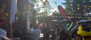 Uklassifisert bilde, 4 av 17, knapp