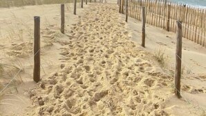 Ein Weg durch das Sandgelände am Strand, gesäumt von Holzbalken, führt zum Meer unter einem bewölkten Himmel.