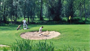 Un parcours de golf avec un bunker de sable, un drapeau et un étang parsemé de nénuphars.