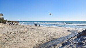 Una playa con costa rocosa, algunas personas caminando y un ave volando.