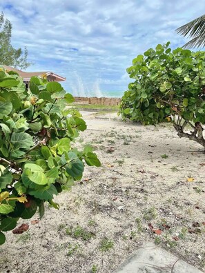 Terrain de l’hébergement 